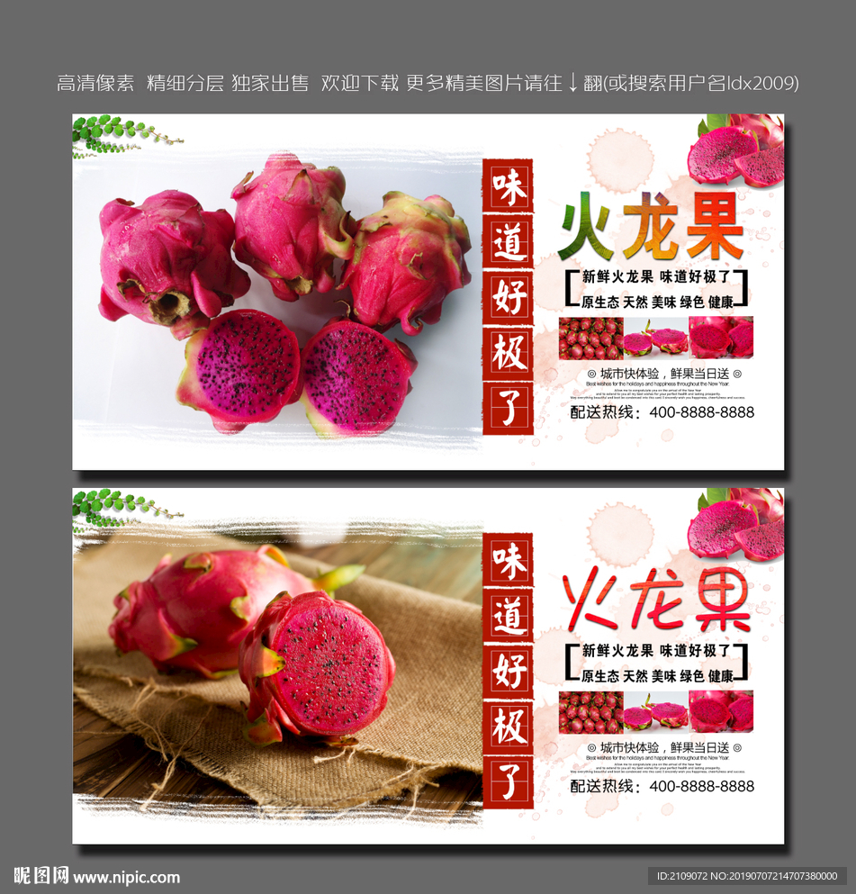 火龙果