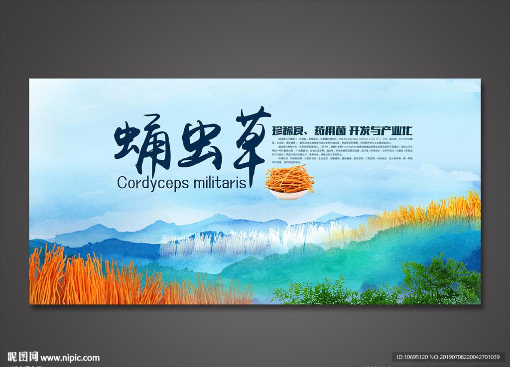 蛹虫草创意海报