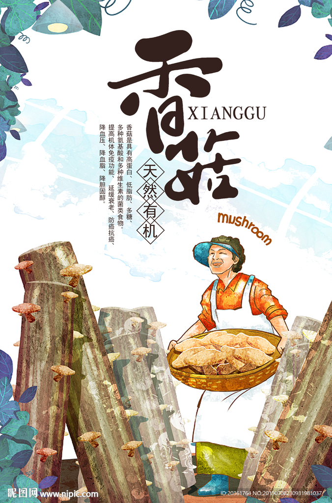 香菇广告