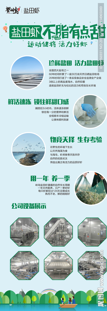 海虾展架图片