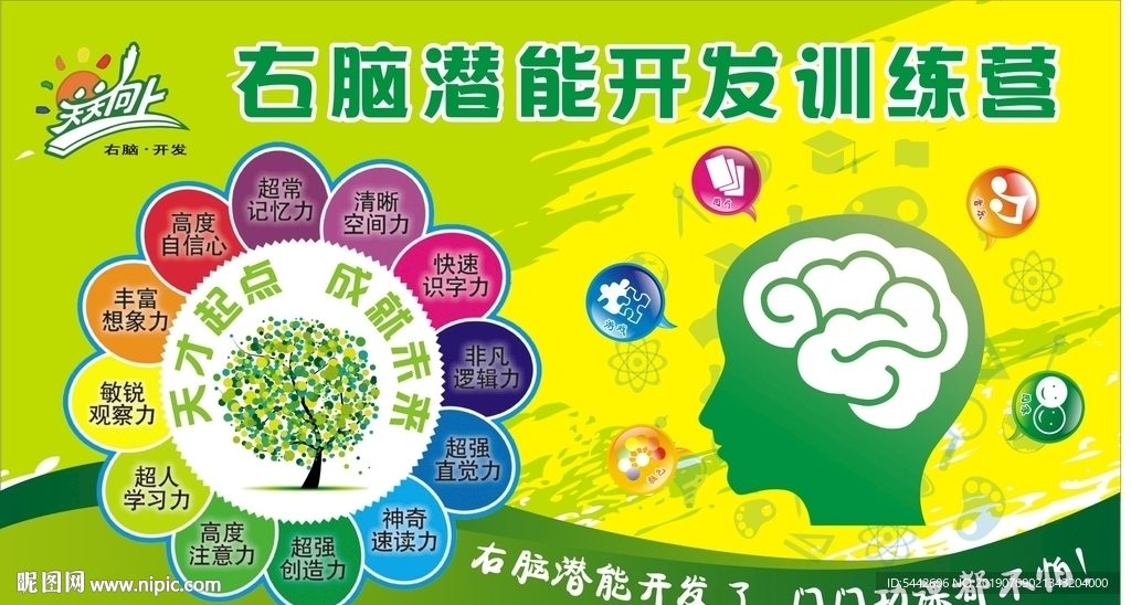 右脑潜能开发