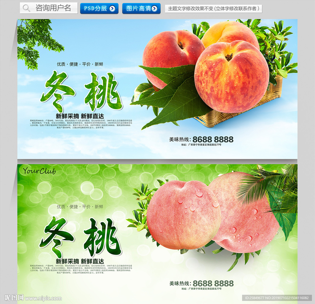 冬桃