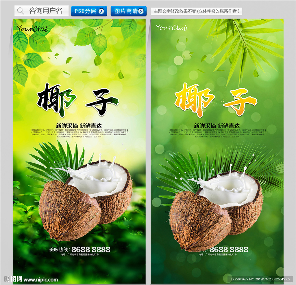 椰子