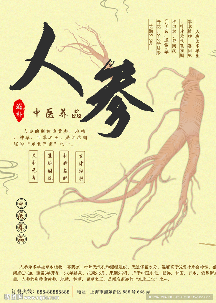 人参