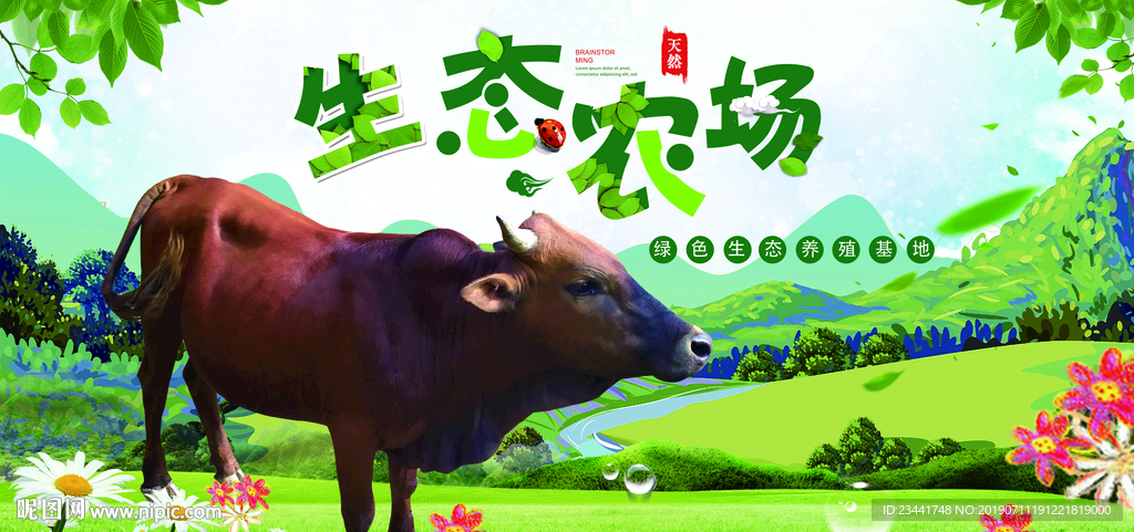 生态养殖黄牛