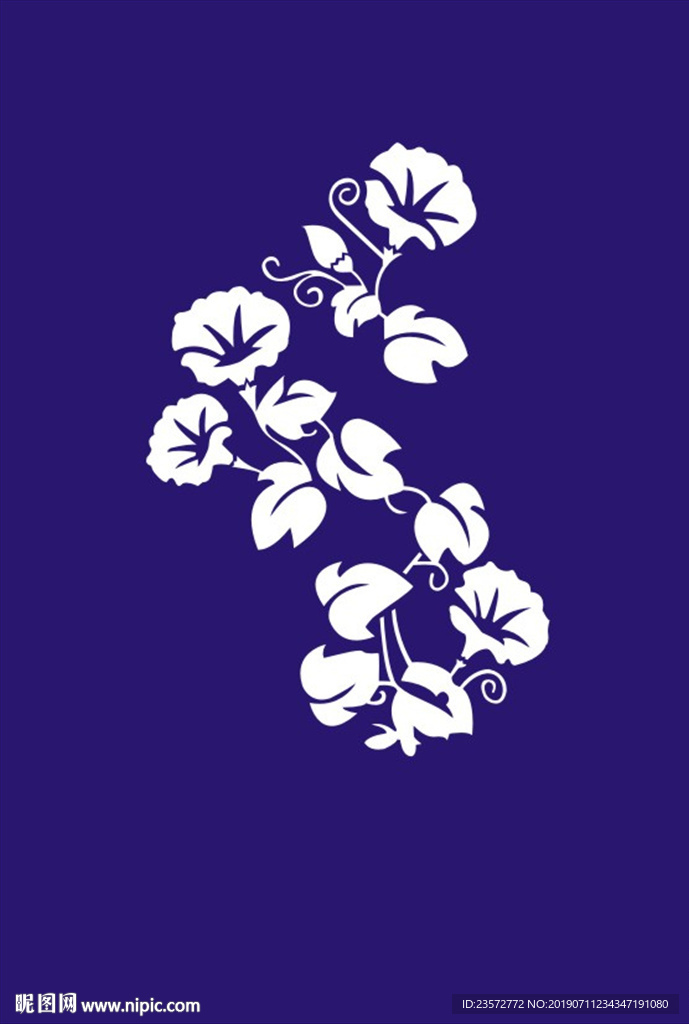 牵牛花