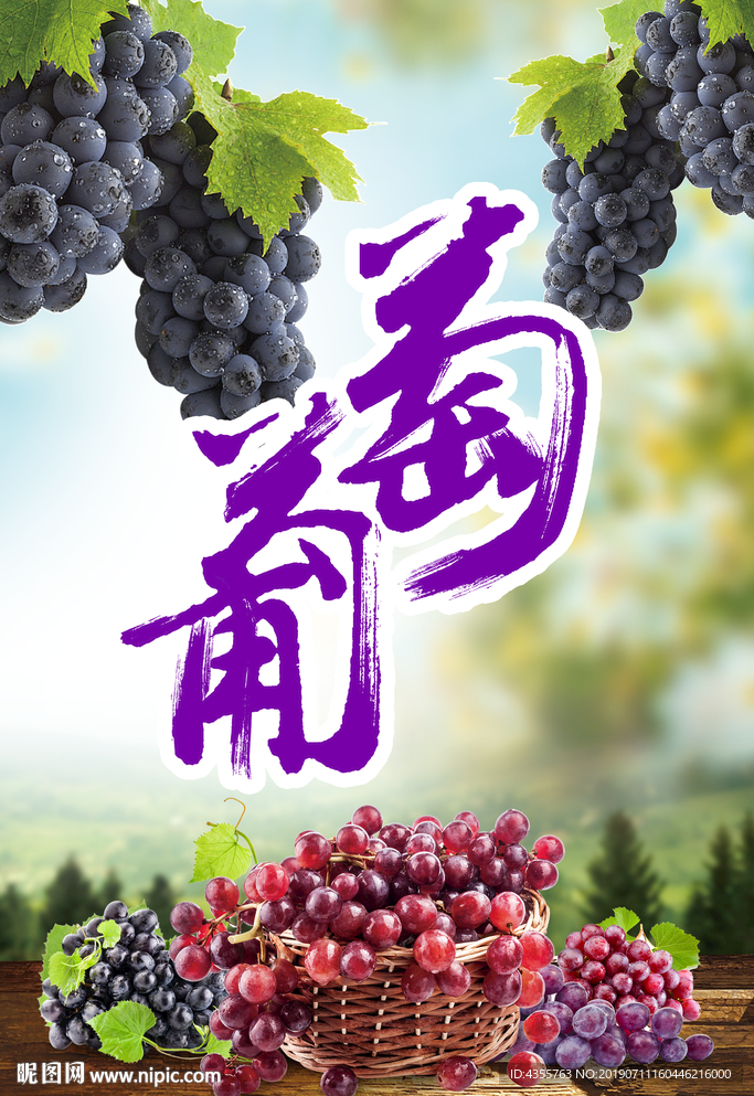 葡萄 海报 葡萄上市 提子he