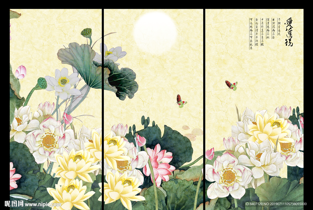 国画 荷花
