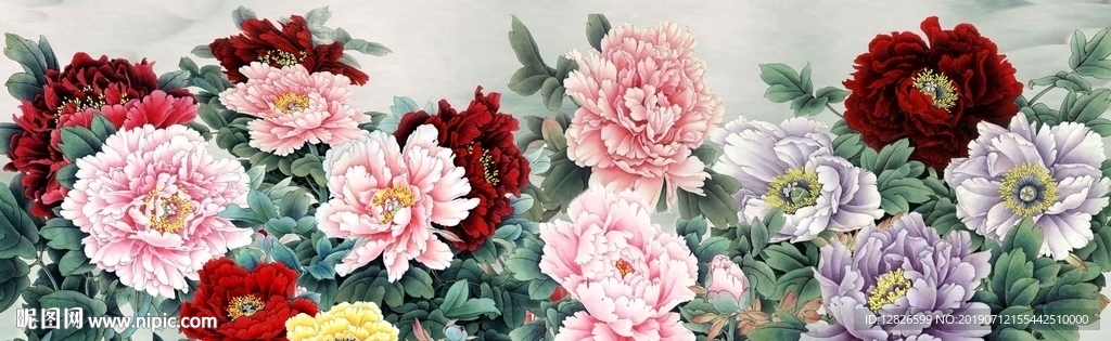 牡丹