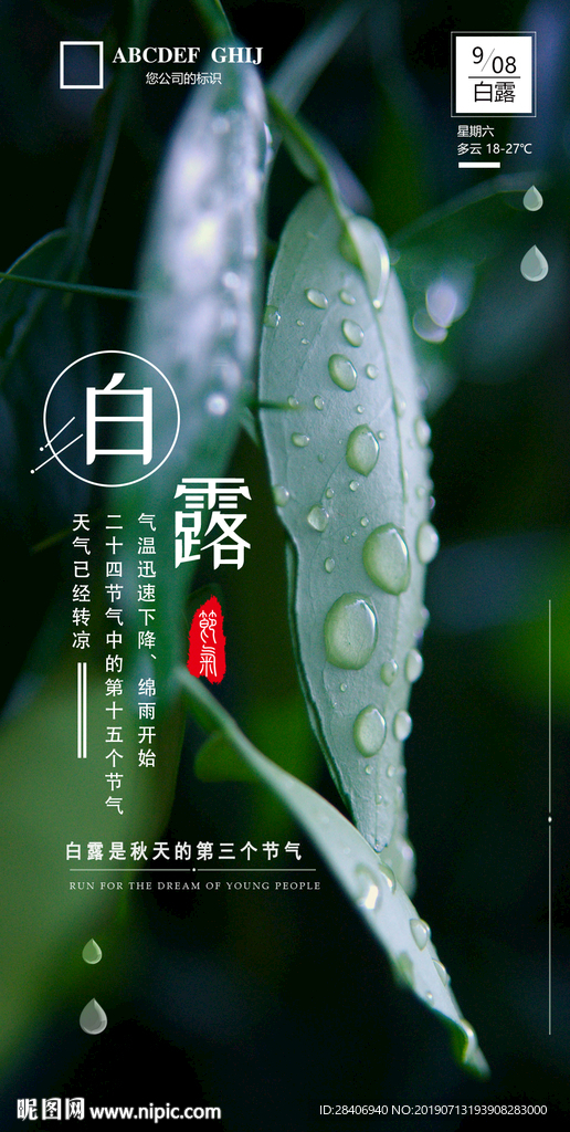 二十四节气白鹭