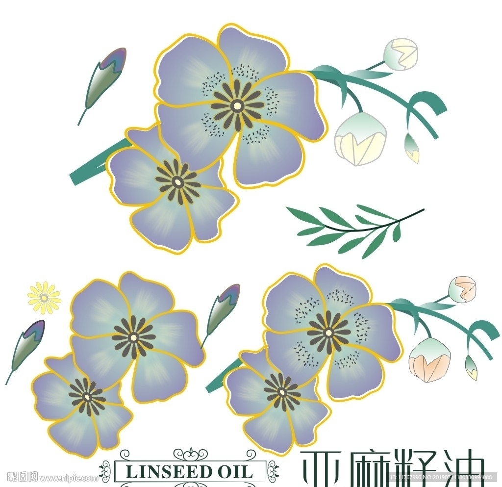 亚麻籽油元素