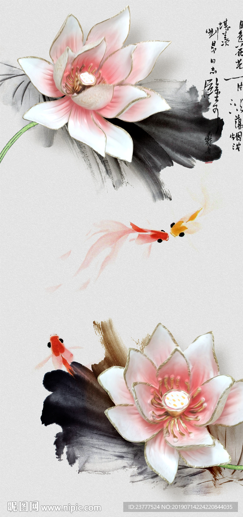 荷花