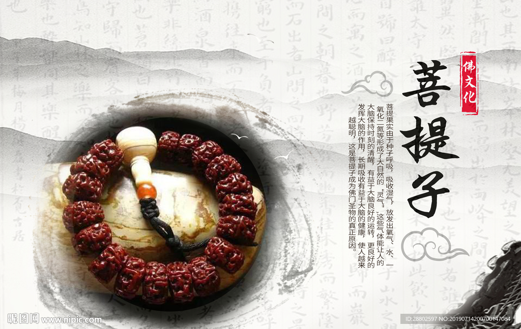 菩提子