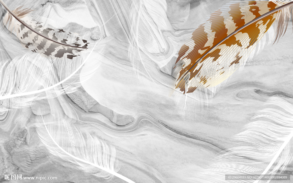 高清羽毛TIF分层