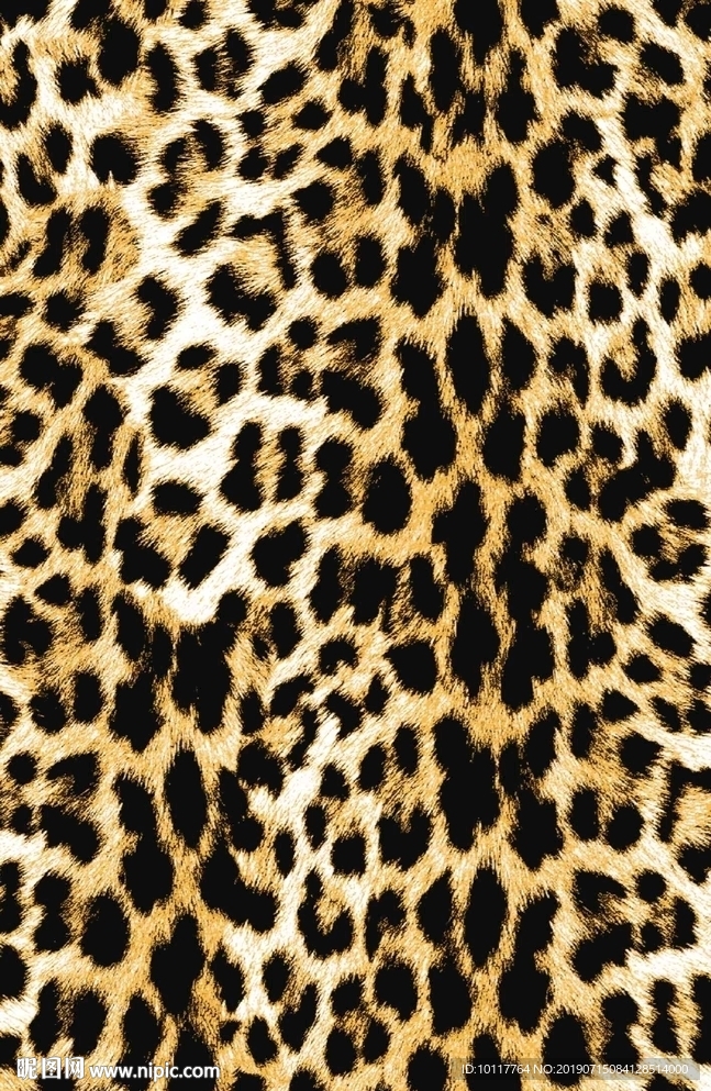 豹纹