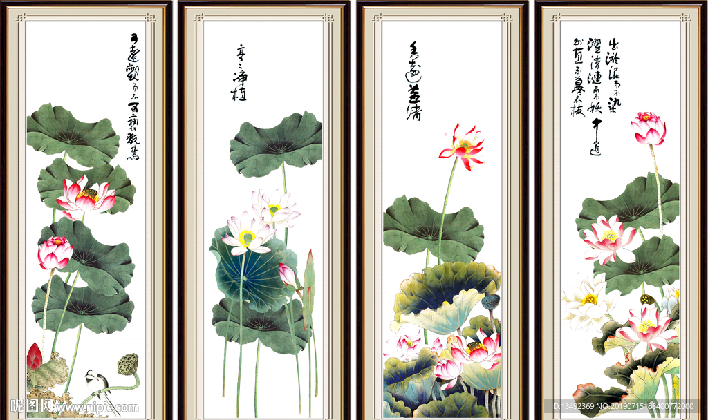 荷花国画