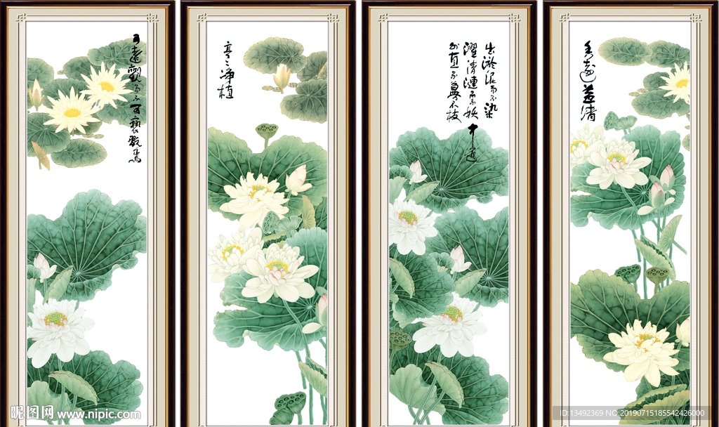 荷花