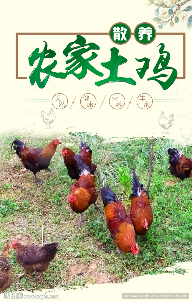 农家土鸡