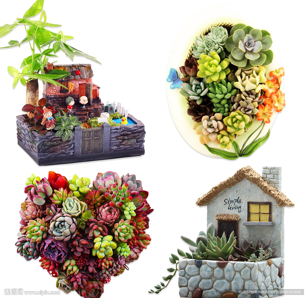 四组创意多肉