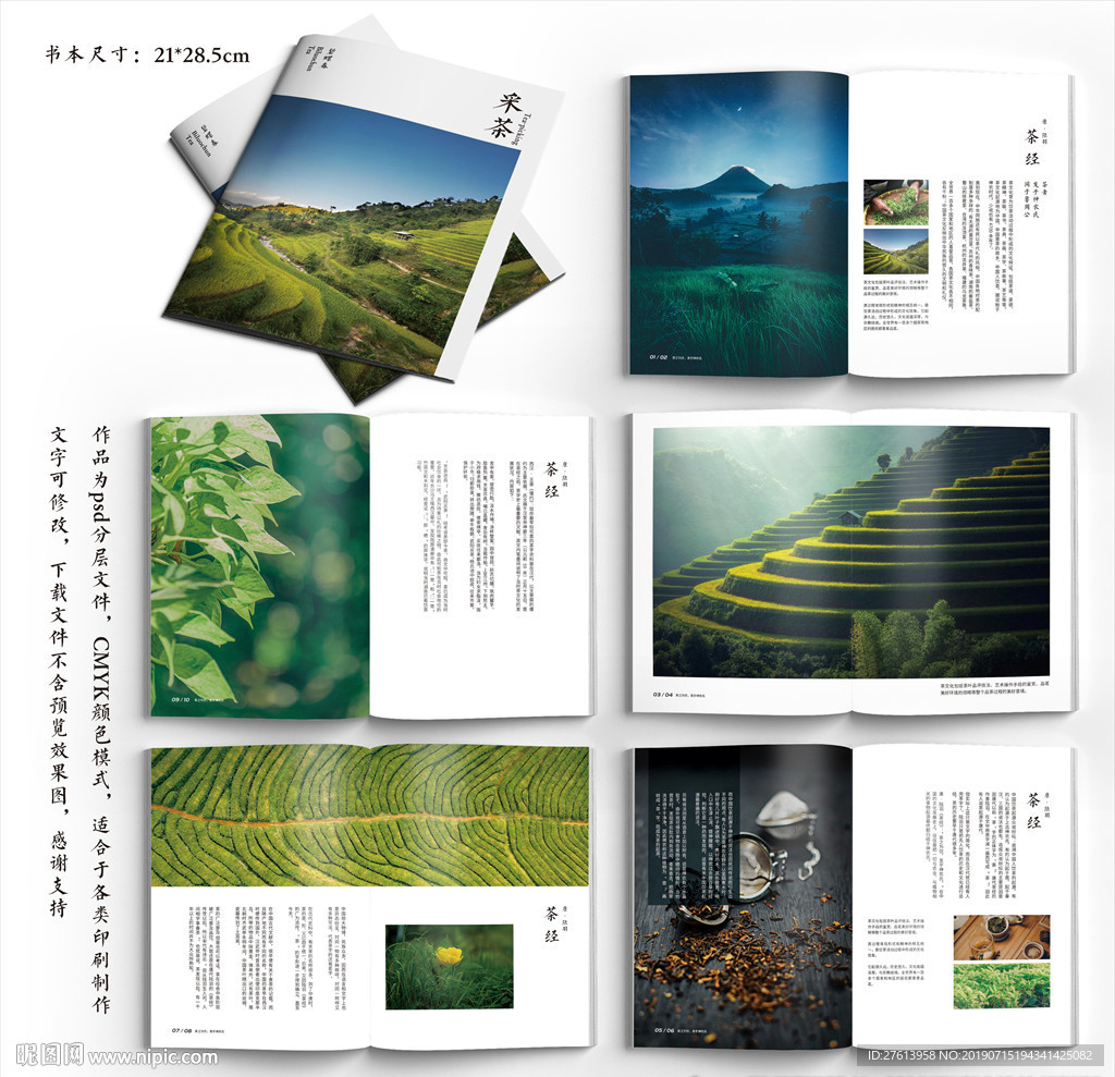 茶叶画册
