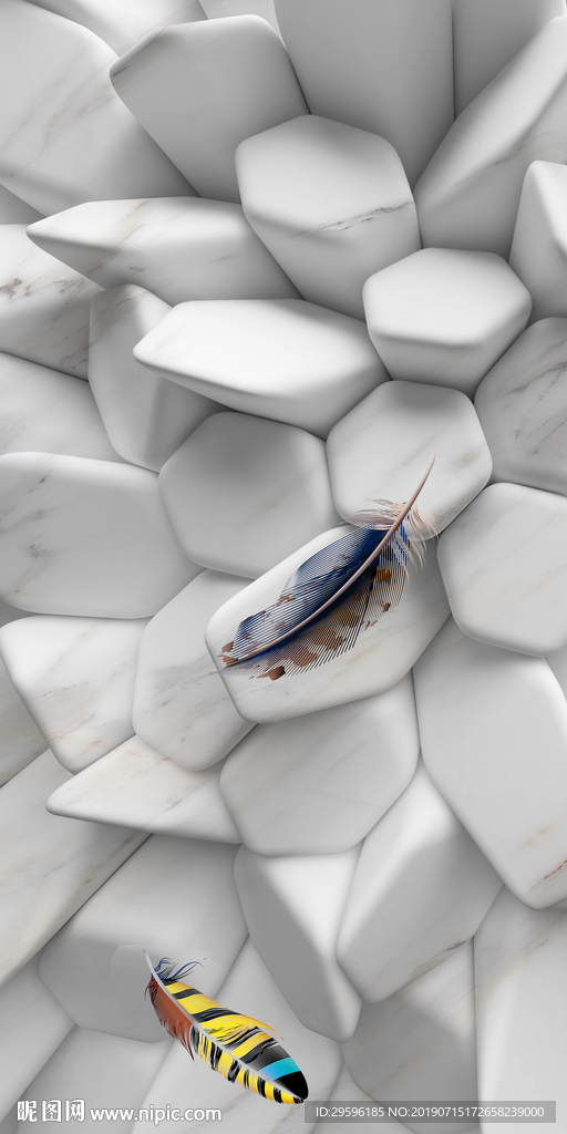 羽毛玄关精美新画 TIF分层