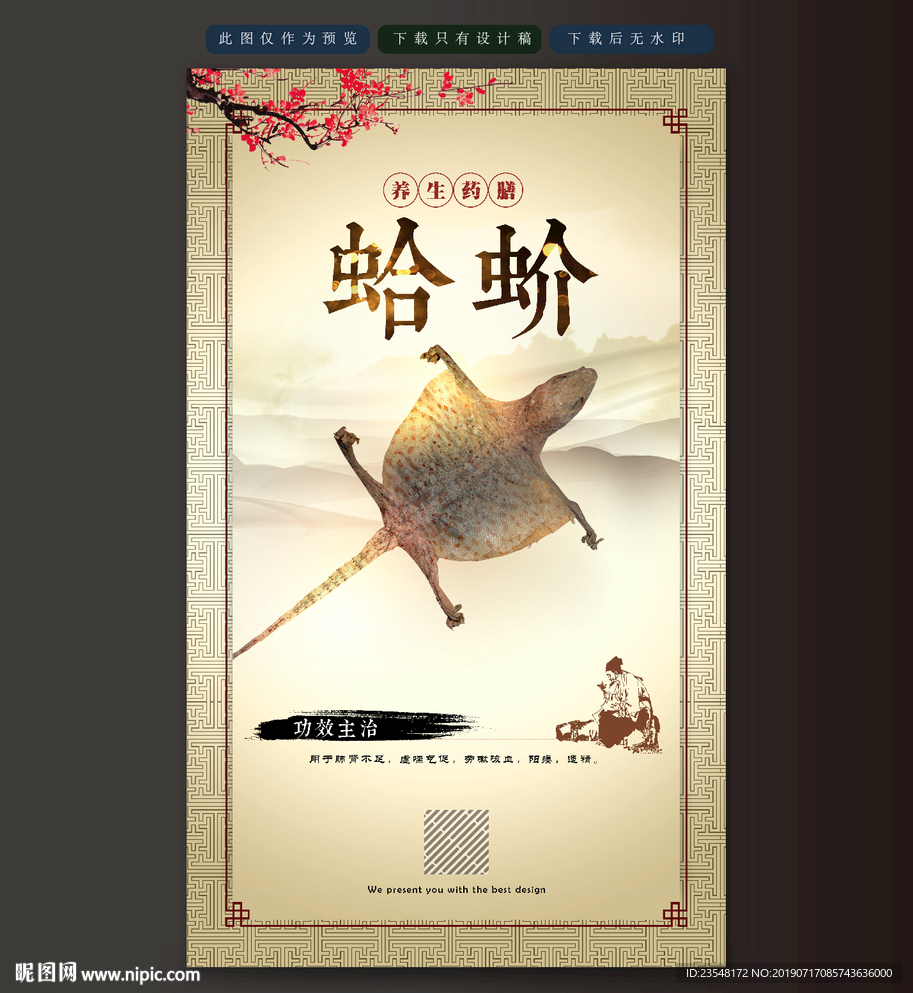 蛤蚧