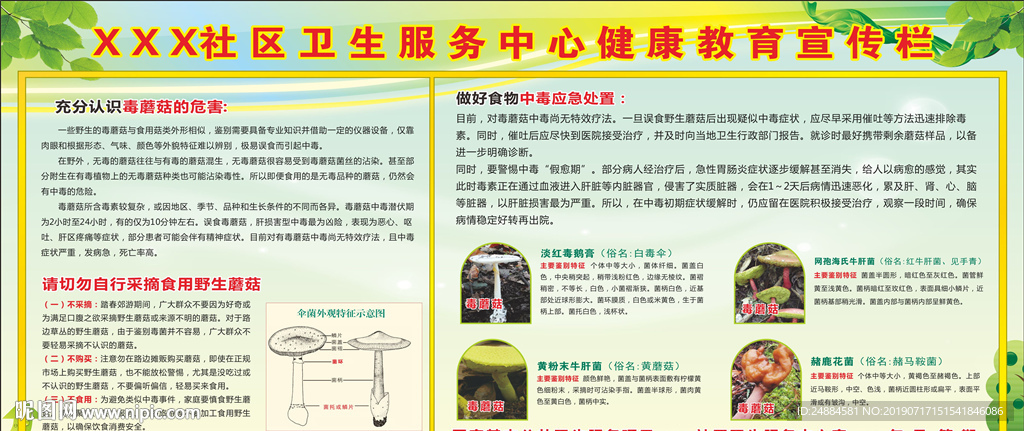 毒蘑菇宣传栏