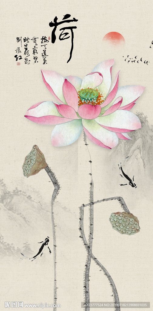 荷花