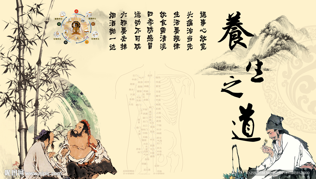 中国风养生之道背景墙