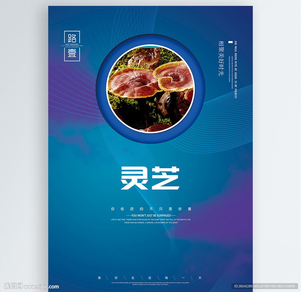 灵芝