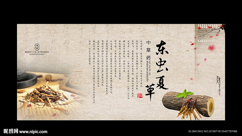 冬虫夏草