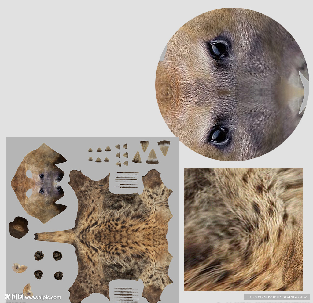 鬣狗3D模型（展开贴图）