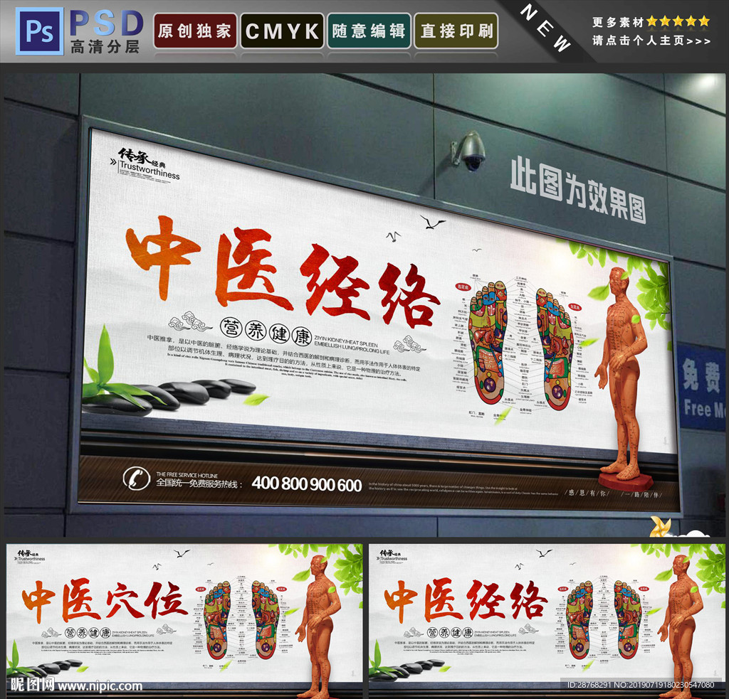 中医经络