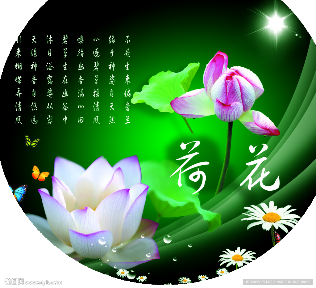 荷花