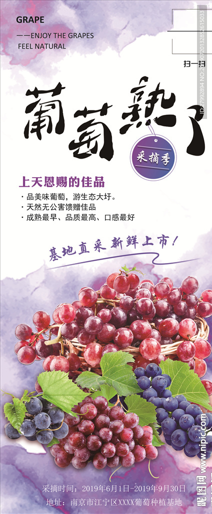 葡萄展架