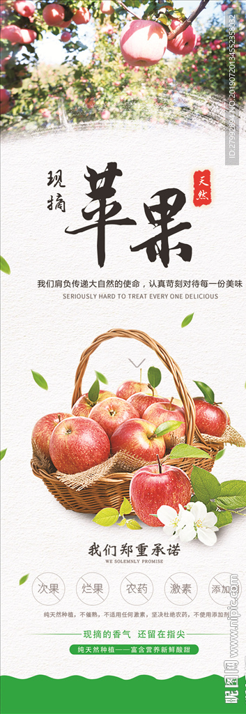 苹果展架