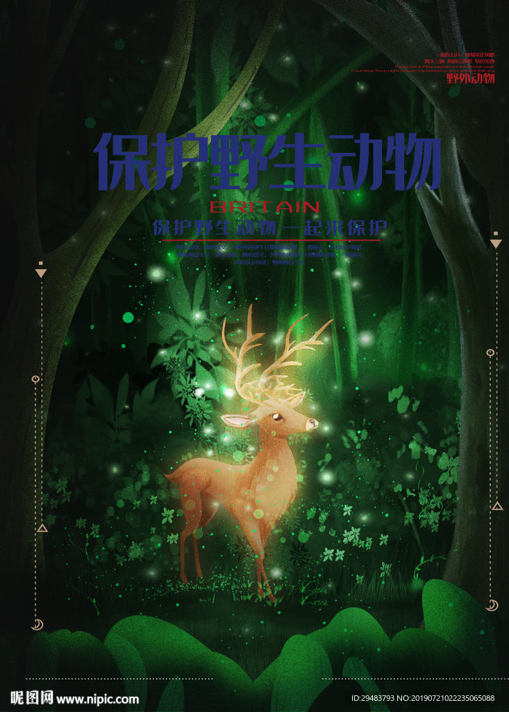 保护野生动物
