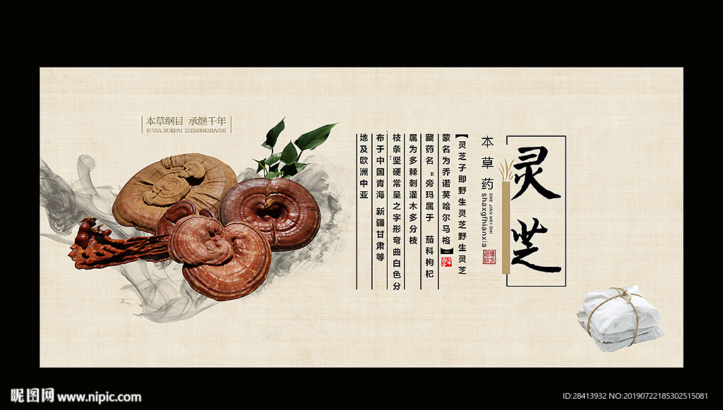 灵芝