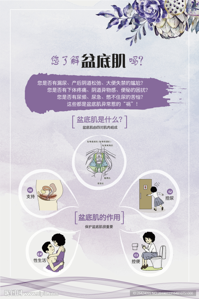 盆底肌