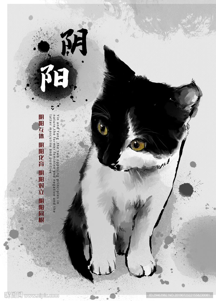 阴阳猫