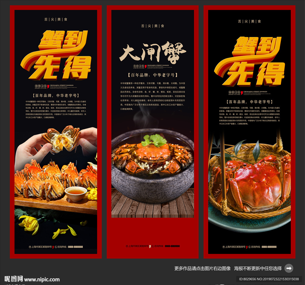 大闸蟹图片