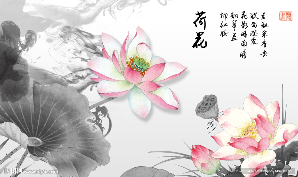 荷花