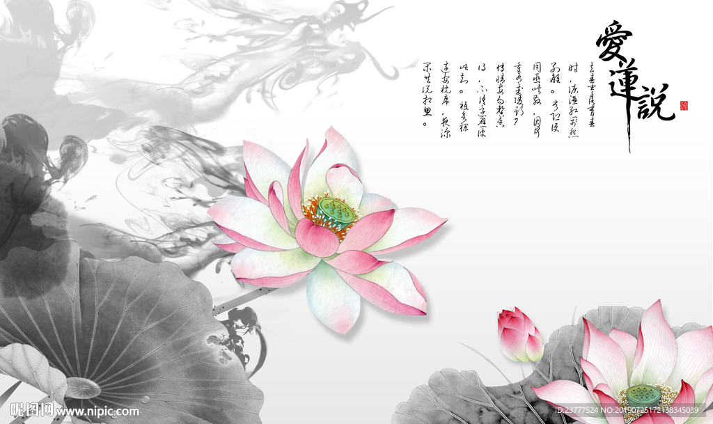 荷花