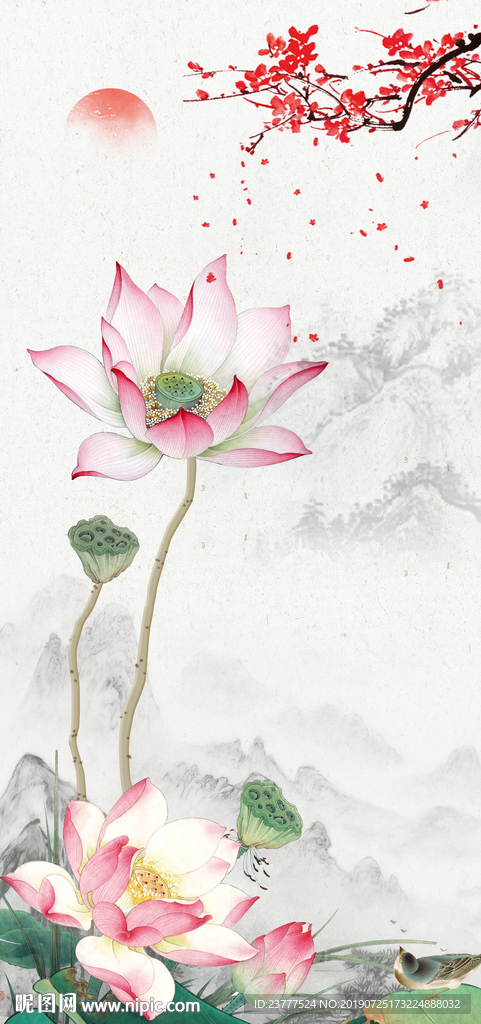 荷花
