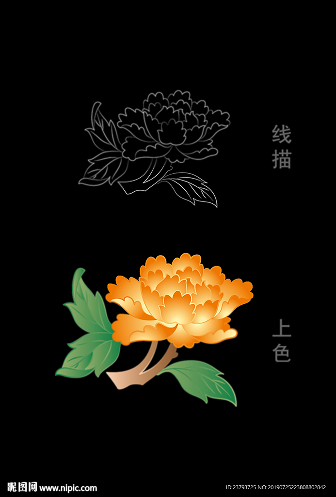 花