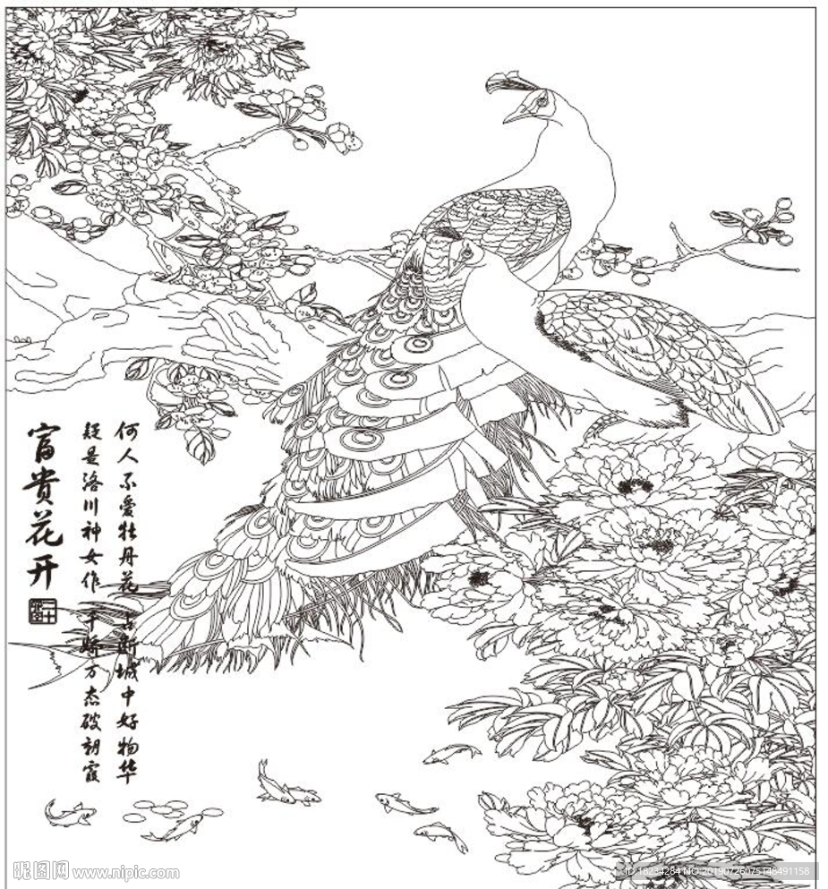 花开富贵