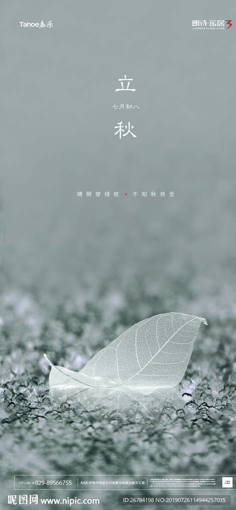 立秋单图