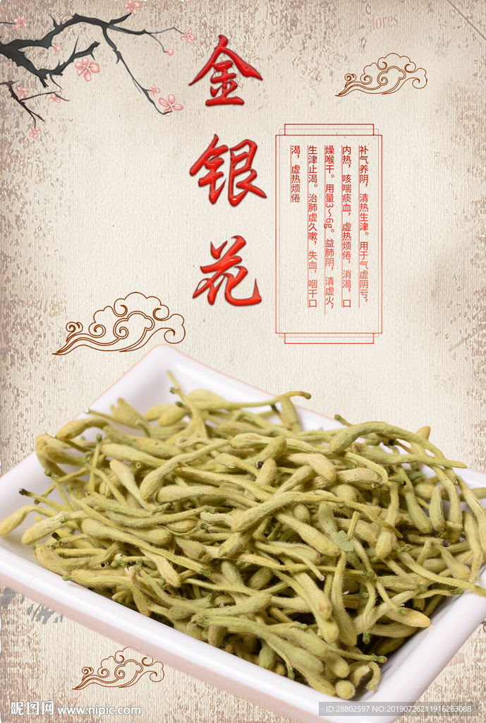 金银花