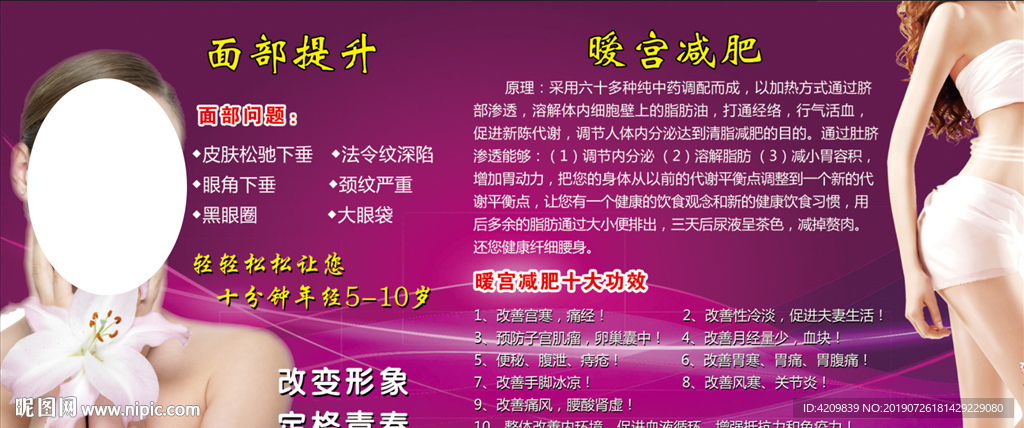 美容   减肥