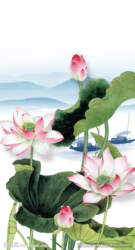 荷花